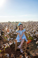 Heard Cotton 2025