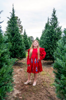 Alice Christmas 2025