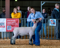 Northwest District Livestock Show 2026