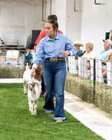 Bayou Blitz Goat Show 2022